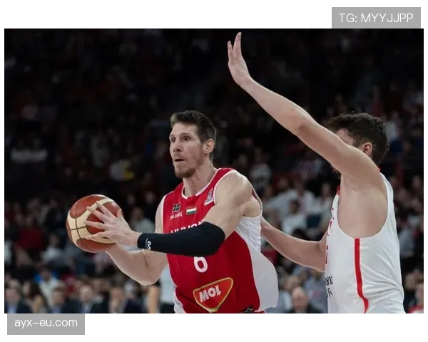 匈牙利国家队延续不败神话，豪取连胜势头强劲引关注