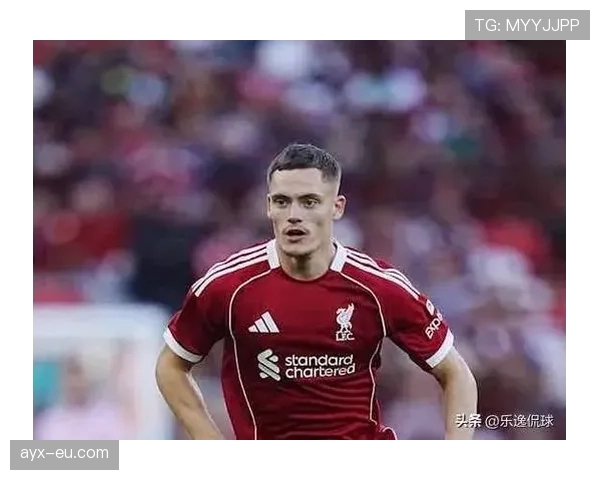 维尔茨大赛表现稳定性分析