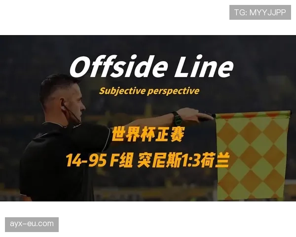 荷兰3-1突尼斯：世界杯F组末轮战报