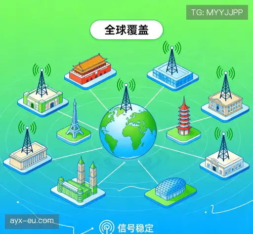 我们的领先优势